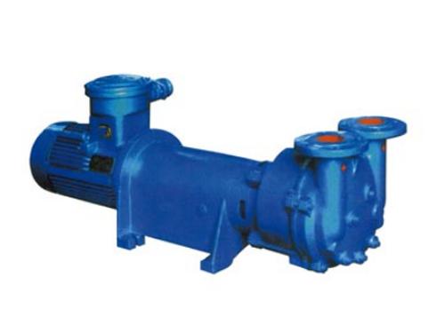 2BV6系列水环式真空泵/压缩机